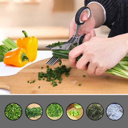 Stainless Steel Multi-Blade Herb Scissor